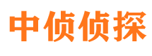 阳城外遇调查取证